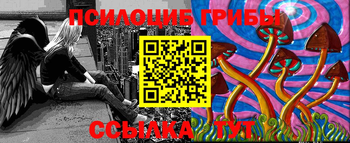 Псилоцибиновые грибы Cubensis Полысаево